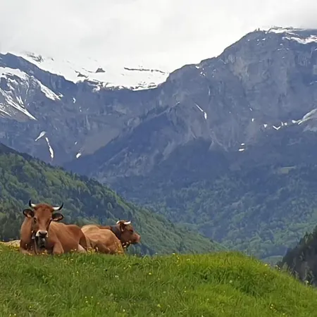 Belle Vue De St Gervais *