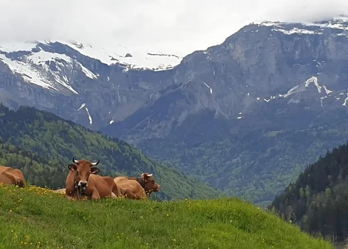 Belle Vue De St Gervais *