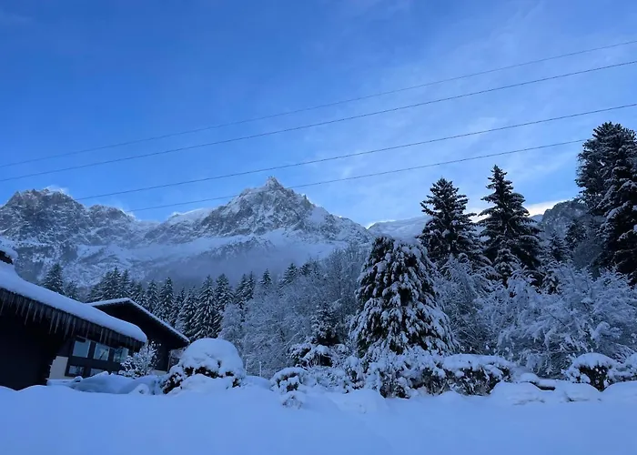 Lejlighed Belle Vue De St Gervais